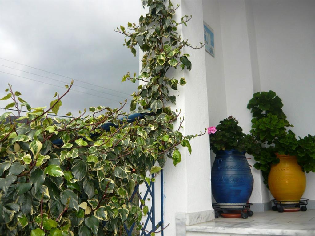 Villa Stegiovana Stavros  Exterior foto